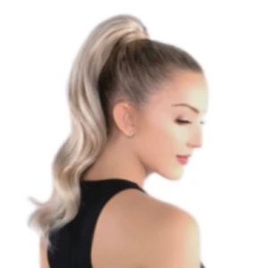 Hidden Crown Bungee Ponytail Extension